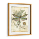 Mini Libélula Regal I - Vision Studio | Cuadro decorativo de Canvas Lab