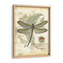 Mini Libélula Regal I - Vision Studio | Cuadro decorativo de Canvas Lab
