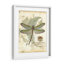 Mini Libélula Regal I - Vision Studio | Cuadro decorativo de Canvas Lab