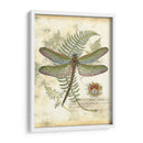 Mini Libélula Regal I - Vision Studio | Cuadro decorativo de Canvas Lab