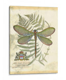 Mini Regal Dragonfly Ii - Vision Studio | Cuadro decorativo de Canvas Lab