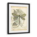 Mini Regal Dragonfly Ii - Vision Studio | Cuadro decorativo de Canvas Lab