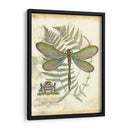 Mini Regal Dragonfly Ii - Vision Studio | Cuadro decorativo de Canvas Lab
