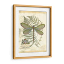 Mini Regal Dragonfly Ii - Vision Studio | Cuadro decorativo de Canvas Lab