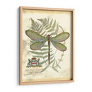 Mini Regal Dragonfly Ii - Vision Studio | Cuadro decorativo de Canvas Lab