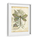 Mini Regal Dragonfly Ii - Vision Studio | Cuadro decorativo de Canvas Lab