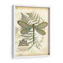 Mini Regal Dragonfly Ii - Vision Studio | Cuadro decorativo de Canvas Lab