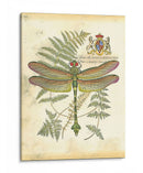 Mini Regal Dragonfly Iii - Vision Studio | Cuadro decorativo de Canvas Lab