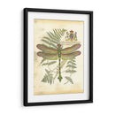 Mini Regal Dragonfly Iii - Vision Studio | Cuadro decorativo de Canvas Lab