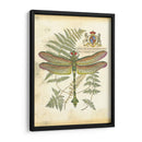 Mini Regal Dragonfly Iii - Vision Studio | Cuadro decorativo de Canvas Lab