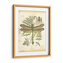 Mini Regal Dragonfly Iii - Vision Studio | Cuadro decorativo de Canvas Lab