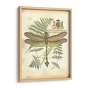 Mini Regal Dragonfly Iii - Vision Studio | Cuadro decorativo de Canvas Lab