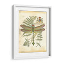 Mini Regal Dragonfly Iii - Vision Studio | Cuadro decorativo de Canvas Lab