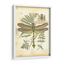Mini Regal Dragonfly Iii - Vision Studio | Cuadro decorativo de Canvas Lab