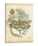 Mini Regal Libélula Iv - Vision Studio | Cuadro decorativo de Canvas Lab