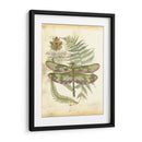 Mini Regal Libélula Iv - Vision Studio | Cuadro decorativo de Canvas Lab