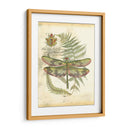 Mini Regal Libélula Iv - Vision Studio | Cuadro decorativo de Canvas Lab