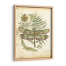 Mini Regal Libélula Iv - Vision Studio | Cuadro decorativo de Canvas Lab