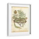 Mini Regal Libélula Iv - Vision Studio | Cuadro decorativo de Canvas Lab
