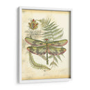 Mini Regal Libélula Iv - Vision Studio | Cuadro decorativo de Canvas Lab