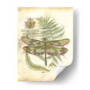 Mini Regal Libélula Iv - Vision Studio | Cuadro decorativo de Canvas Lab