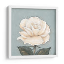 Una Rosa De Bronceado - Jade Reynolds | Cuadro decorativo de Canvas Lab