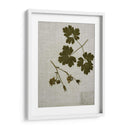 Hojas Prensadas En Lino I - Vision Studio | Cuadro decorativo de Canvas Lab