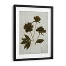 Hojas Prensadas En Lino Ii - Vision Studio | Cuadro decorativo de Canvas Lab