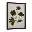 Hojas Prensadas En Lino Ii - Vision Studio | Cuadro decorativo de Canvas Lab