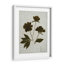 Hojas Prensadas En Lino Ii - Vision Studio | Cuadro decorativo de Canvas Lab