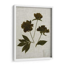 Hojas Prensadas En Lino Ii - Vision Studio | Cuadro decorativo de Canvas Lab