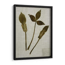 Hojas Prensadas En Lino Iv - Vision Studio | Cuadro decorativo de Canvas Lab