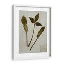 Hojas Prensadas En Lino Iv - Vision Studio | Cuadro decorativo de Canvas Lab