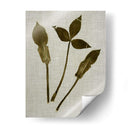 Hojas Prensadas En Lino Iv - Vision Studio | Cuadro decorativo de Canvas Lab