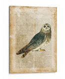 Pájaros Anticuarios I - Vision Studio | Cuadro decorativo de Canvas Lab