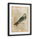 Pájaros Anticuarios I - Vision Studio | Cuadro decorativo de Canvas Lab