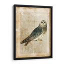 Pájaros Anticuarios I - Vision Studio | Cuadro decorativo de Canvas Lab