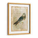 Pájaros Anticuarios I - Vision Studio | Cuadro decorativo de Canvas Lab