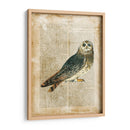 Pájaros Anticuarios I - Vision Studio | Cuadro decorativo de Canvas Lab