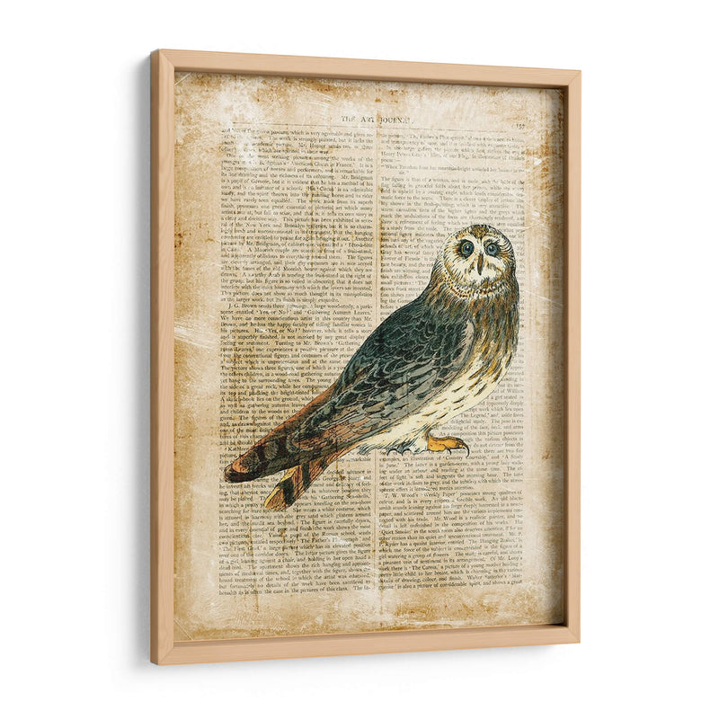 Pájaros Anticuarios I - Vision Studio | Cuadro decorativo de Canvas Lab