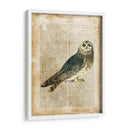 Pájaros Anticuarios I - Vision Studio | Cuadro decorativo de Canvas Lab