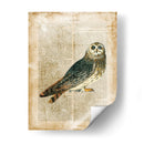 Pájaros Anticuarios I - Vision Studio | Cuadro decorativo de Canvas Lab