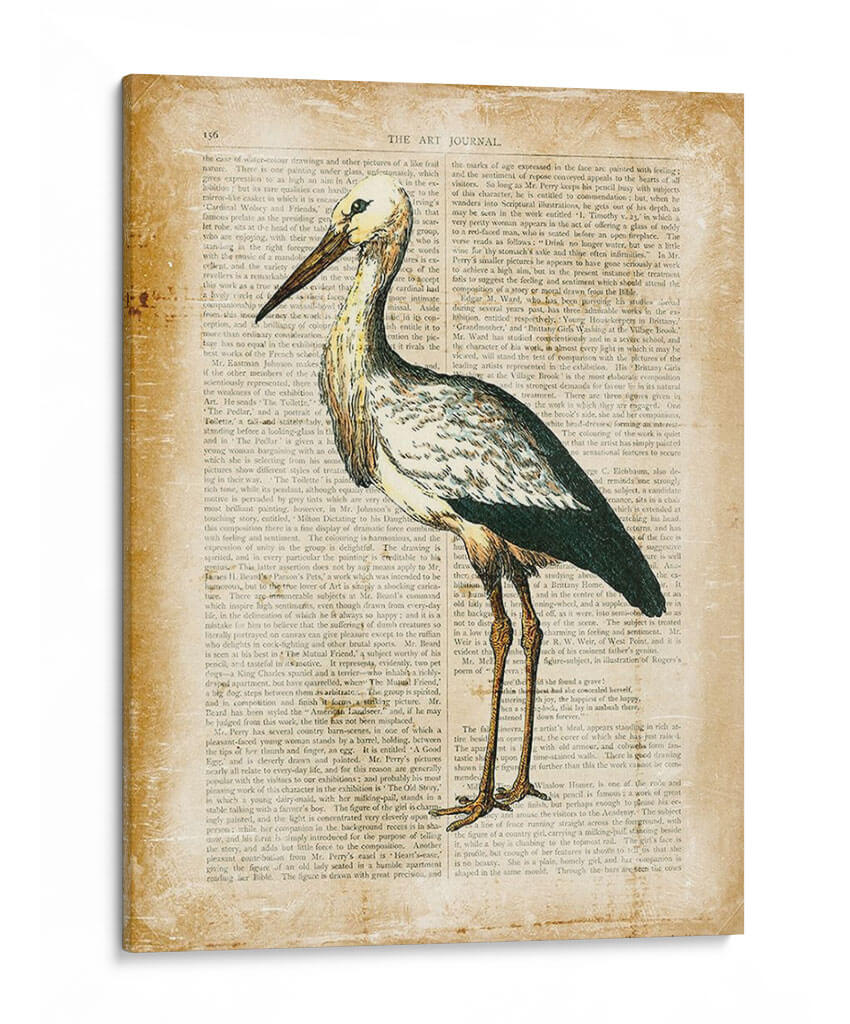 Pájaros Anticuarios Ii - Vision Studio | Cuadro decorativo de Canvas Lab