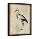 Pájaros Anticuarios Ii - Vision Studio | Cuadro decorativo de Canvas Lab