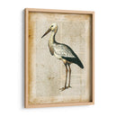 Pájaros Anticuarios Ii - Vision Studio | Cuadro decorativo de Canvas Lab