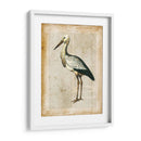 Pájaros Anticuarios Ii - Vision Studio | Cuadro decorativo de Canvas Lab