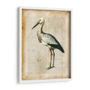 Pájaros Anticuarios Ii - Vision Studio | Cuadro decorativo de Canvas Lab