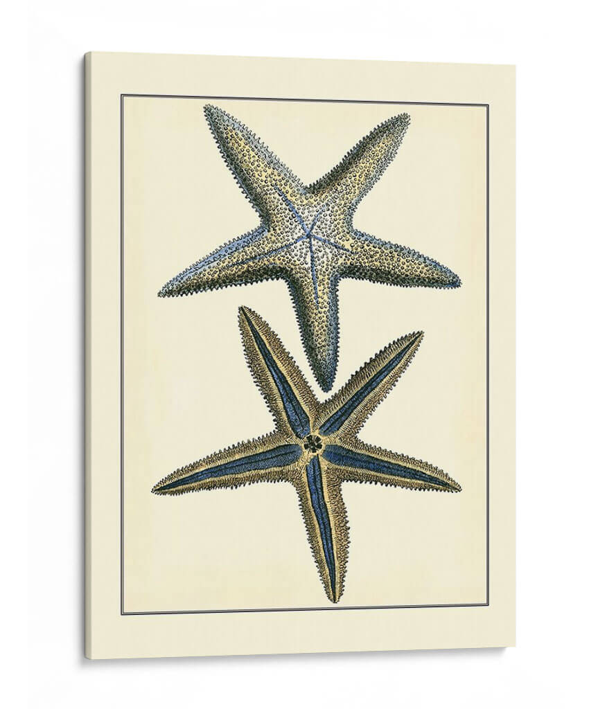 Estrella Azul Antigua I - Vision Studio | Cuadro decorativo de Canvas Lab