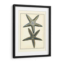 Estrella Azul Antigua I - Vision Studio | Cuadro decorativo de Canvas Lab