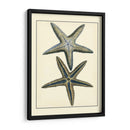 Estrella Azul Antigua I - Vision Studio | Cuadro decorativo de Canvas Lab